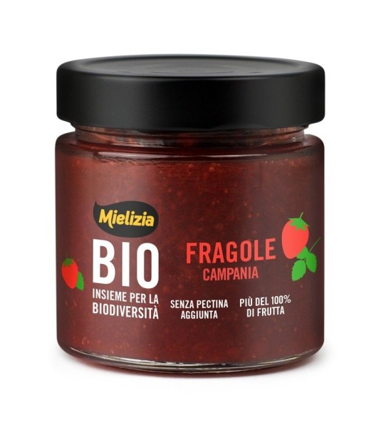 Composta BIO Fragole+Miele gr 250