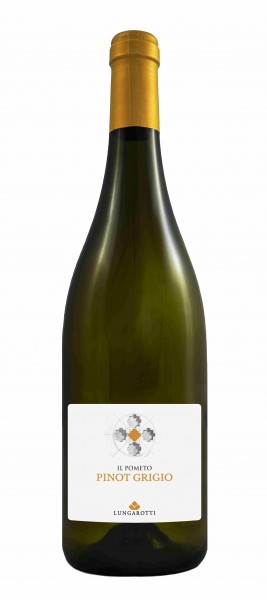 Pinot Grigio &quot;il Pometo&quot; IGT, 2019 x 6 btls